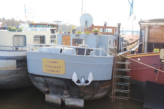 Loasis — foto 4 van 7