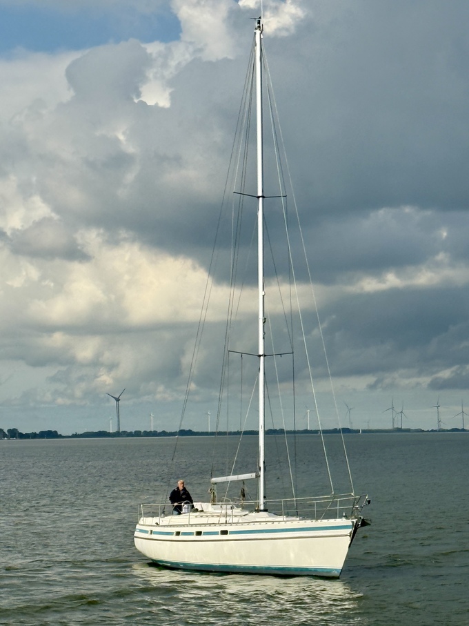 Contest 36S — foto 6 van 12