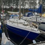 Nicholson MK III — foto 3 van 12