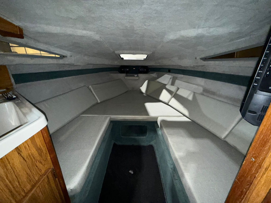 Sea Ray Seville (Gedupliceerd) — foto 10 van 15