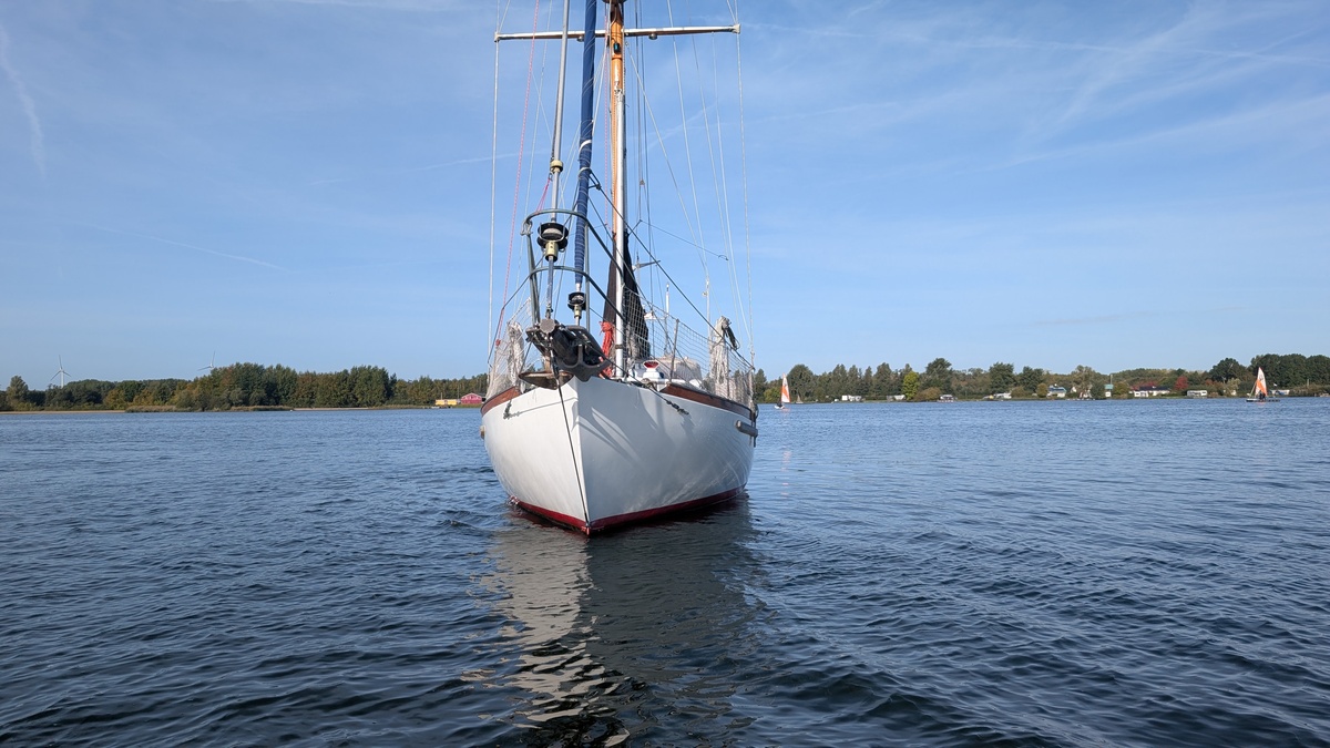 ORCA 38 — foto 34 van 74
