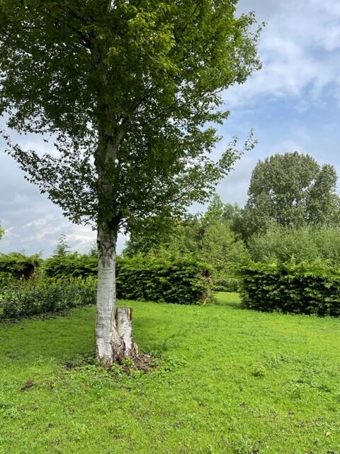 Eiland aan de doorvaart — foto 8 van 8