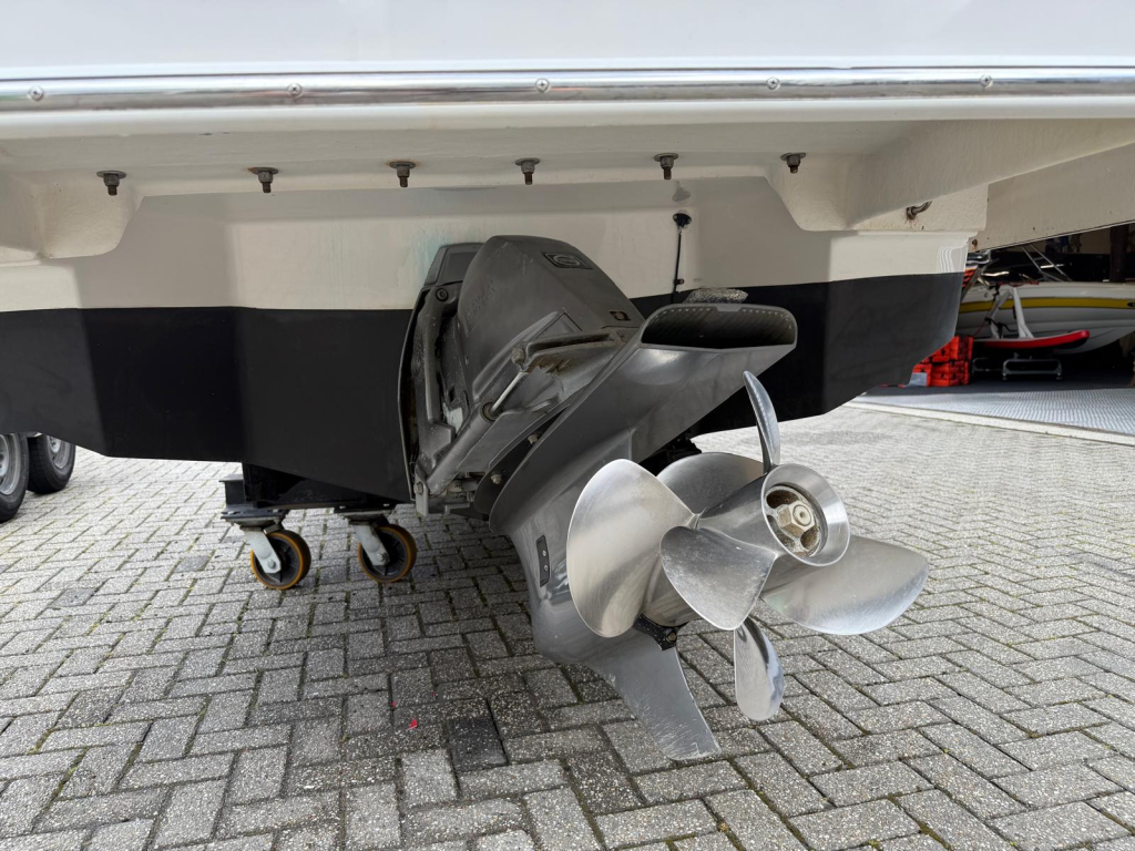 Regal 2500 Bowrider — foto 29 van 29