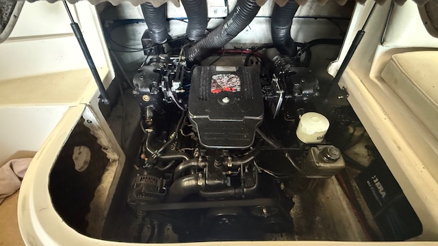 Sea ray — foto 15 van 16
