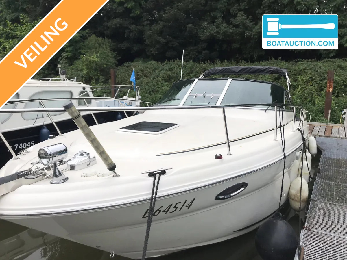 Sea Ray Amberjack 315 nu in de online veiling. — foto 1 van 13