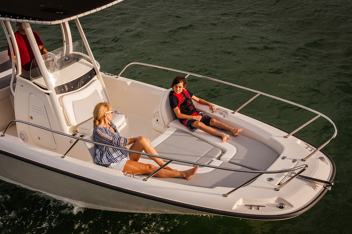 Boston Whaler 250 Dauntless — foto 3 van 12