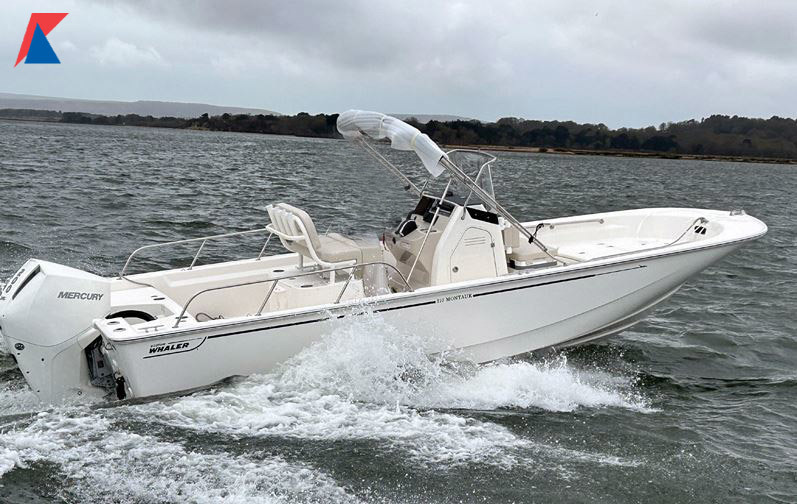 Boston Whaler210 Montauk