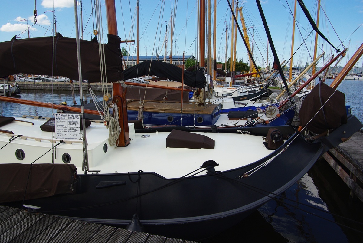 Gipon Schokker — foto 6 van 9