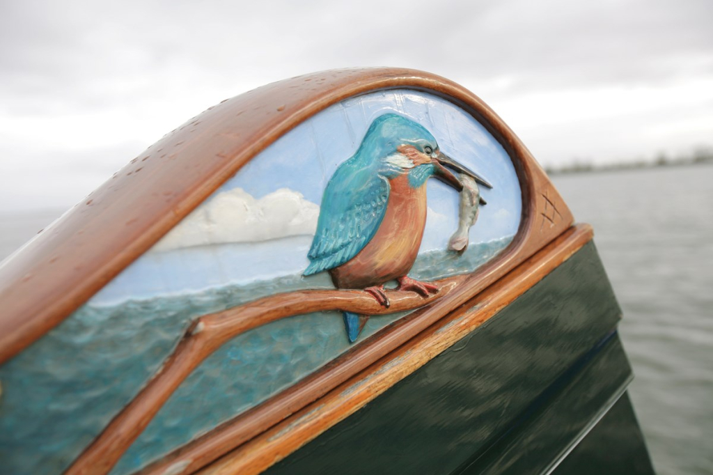 Lemsteraak Roefmodel - IJsvogel — foto 13 van 22