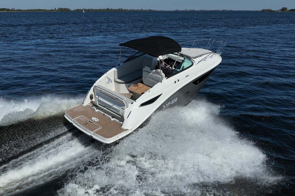 Sea Ray Sundancer 265 — foto 4 van 66