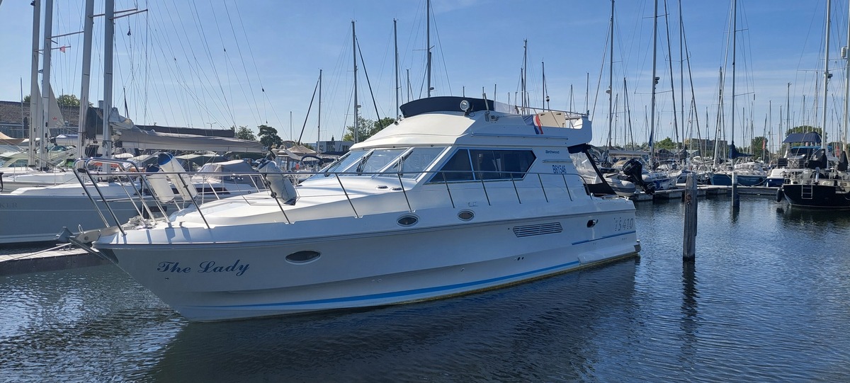 BIRCHWOOD TS410 — foto 1 van 30
