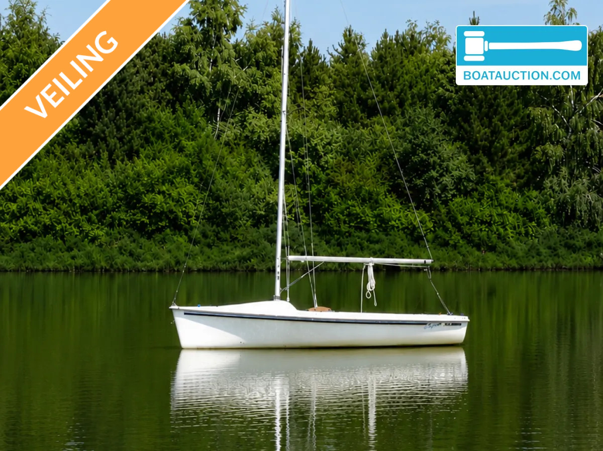 Catalina 16.5 nu in de online veiling. — foto 1 van 12
