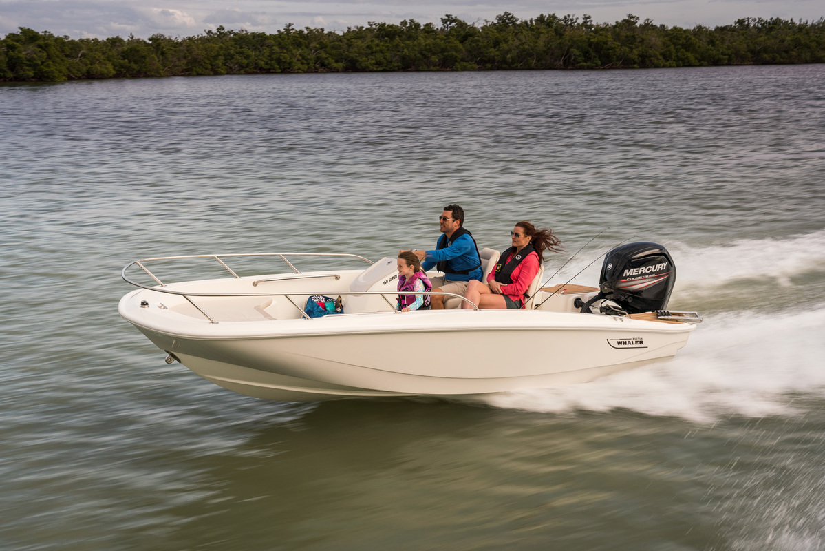 Boston Whaler 160 Super Sport — foto 4 van 19