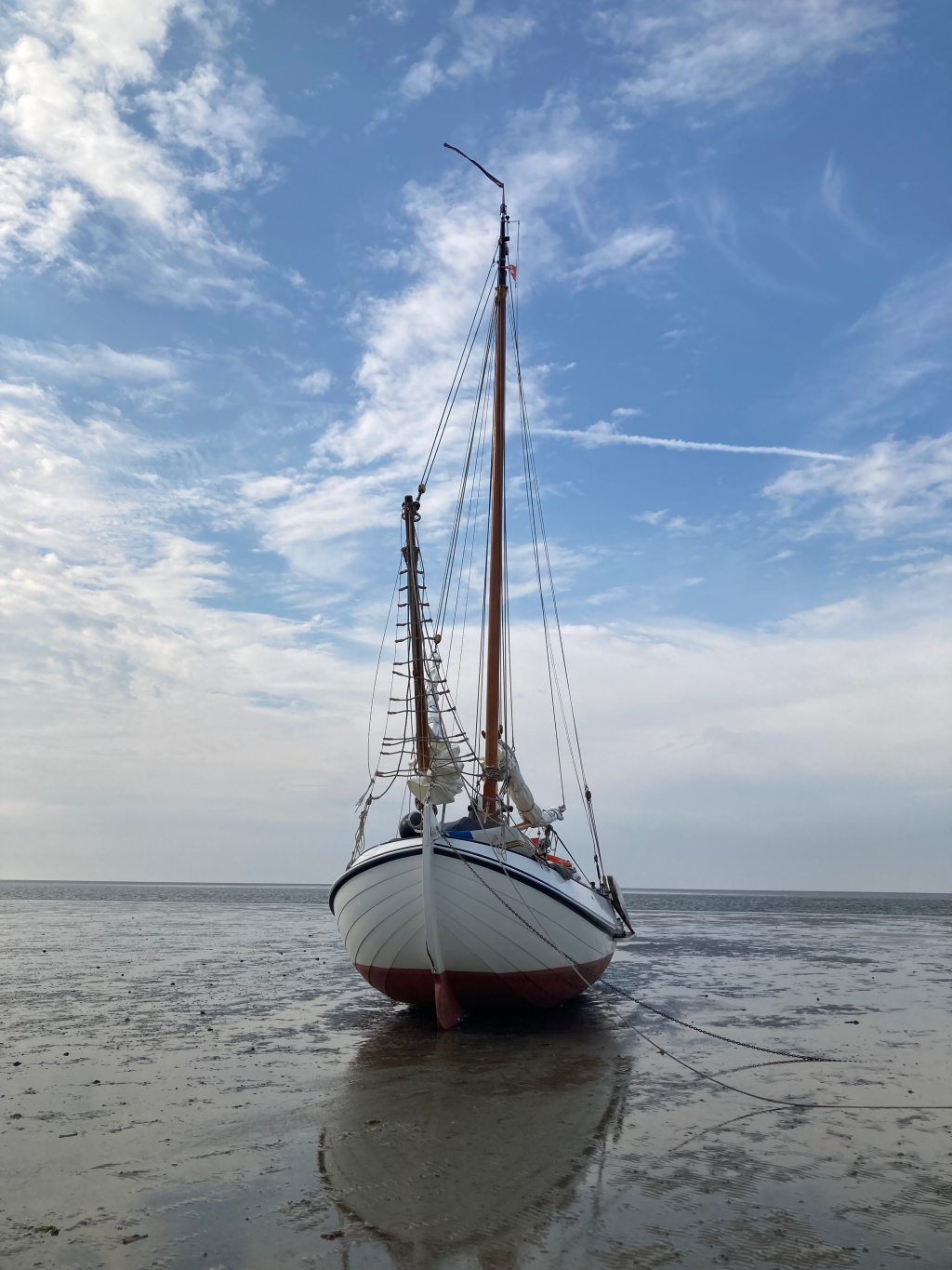 Lemsteraak Roefmodel 1010 - Dolfijn — foto 39 van 39
