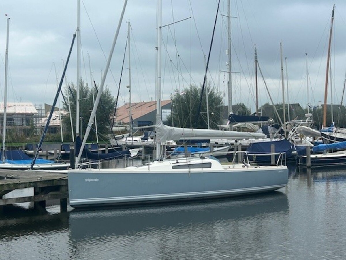 Pointer 25