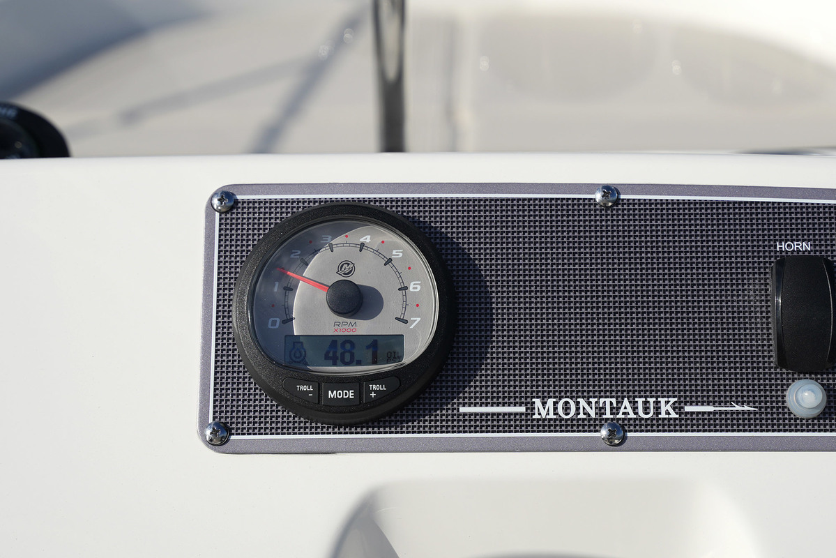 Boston Whaler 170 Montauk — foto 26 van 44