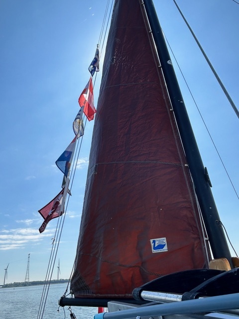 Staverse Kotter 10.40 — foto 6 van 26