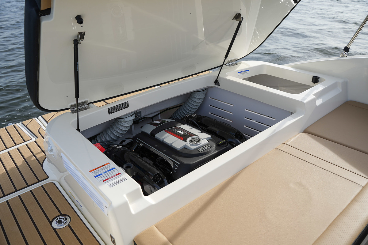 Sea Ray SPX 210 — foto 41 van 56