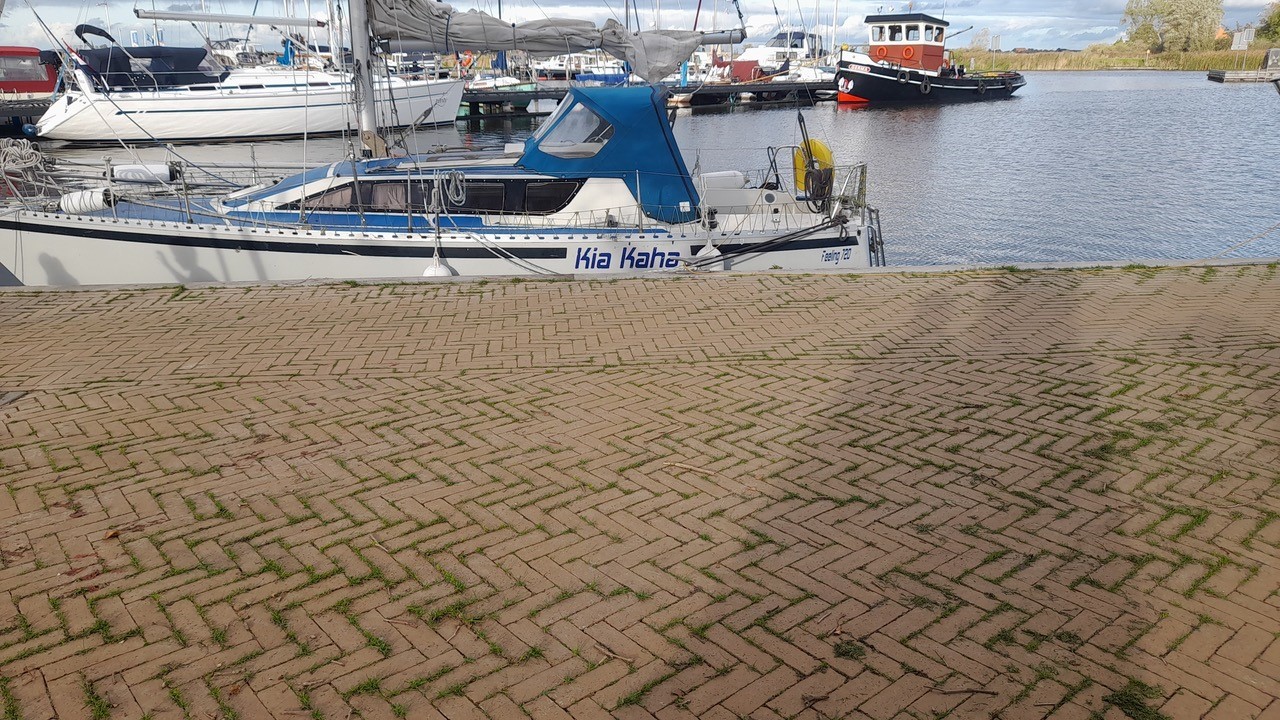Kyrie Feeling 720 — foto 3 van 10
