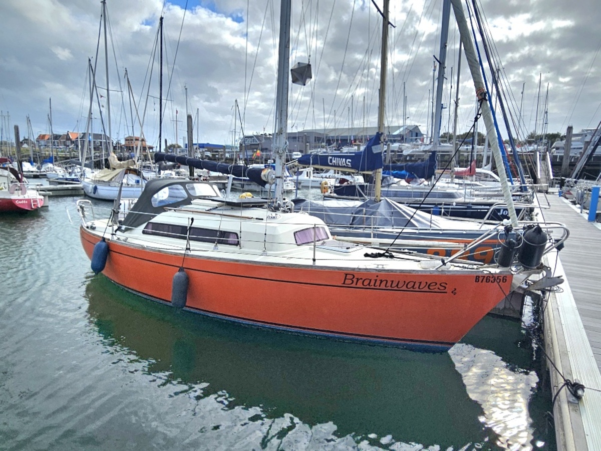 Sturgeon 28
