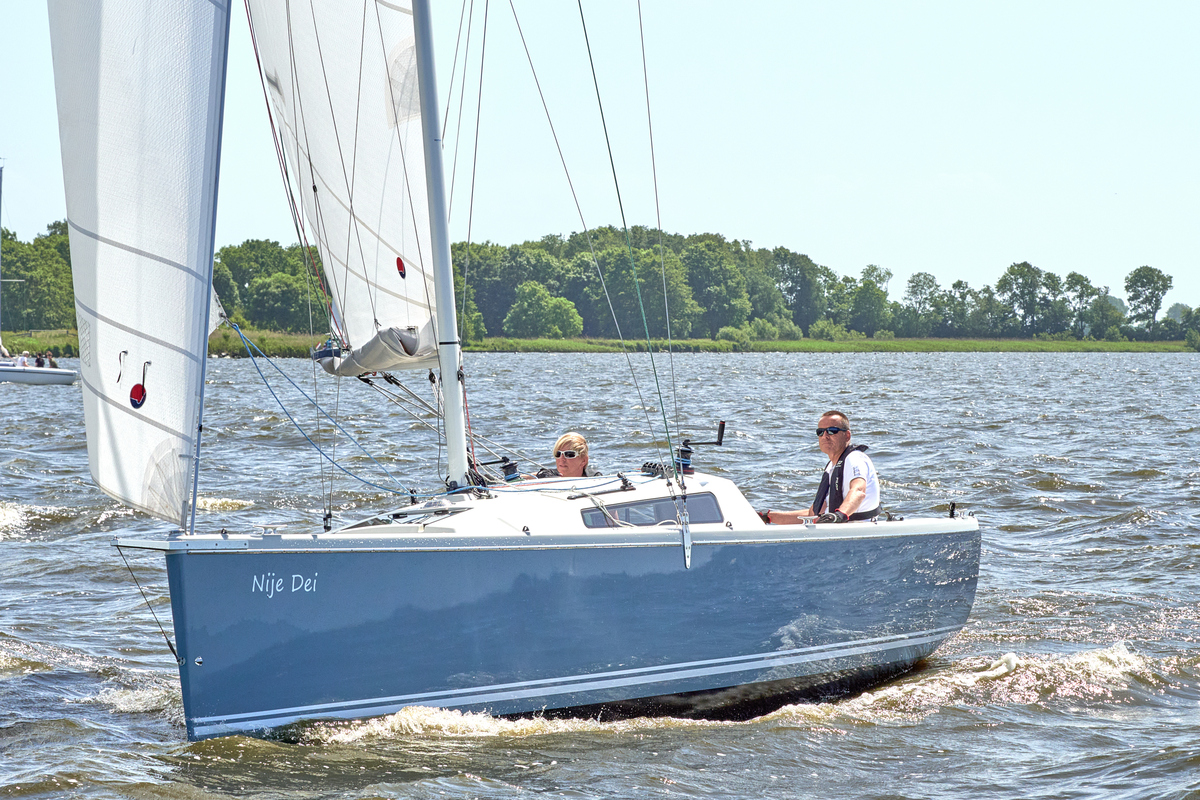 Pointer 25
