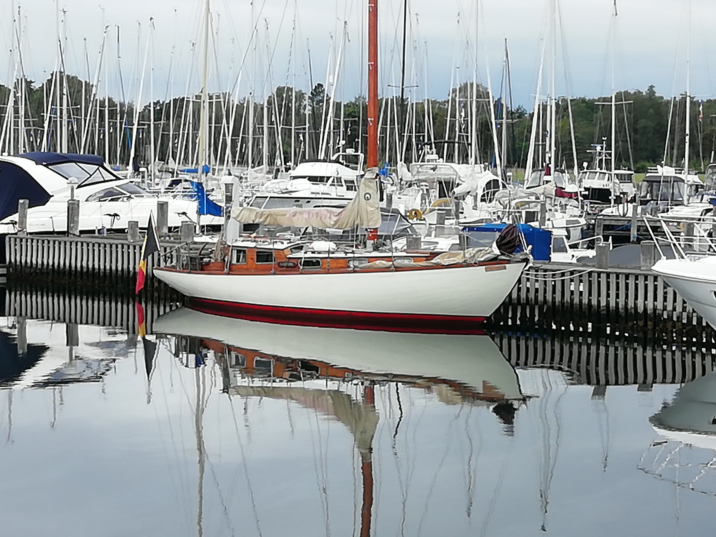 Alfred Mylne 10.50 — foto 2 van 29