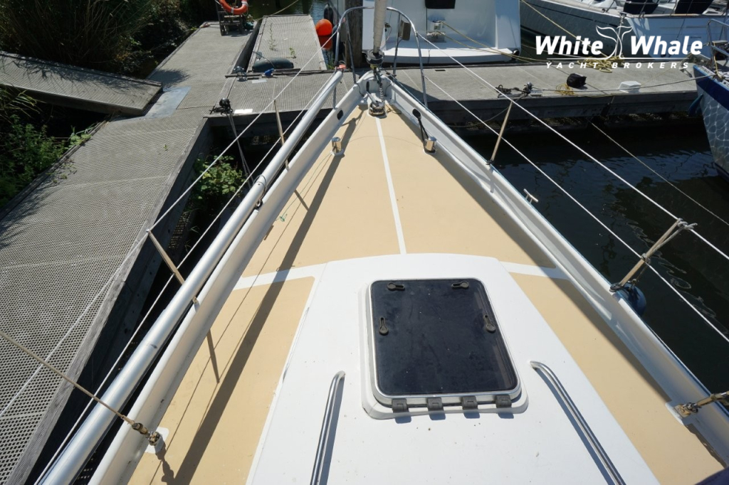 Koopmans 33 — foto 4 van 18