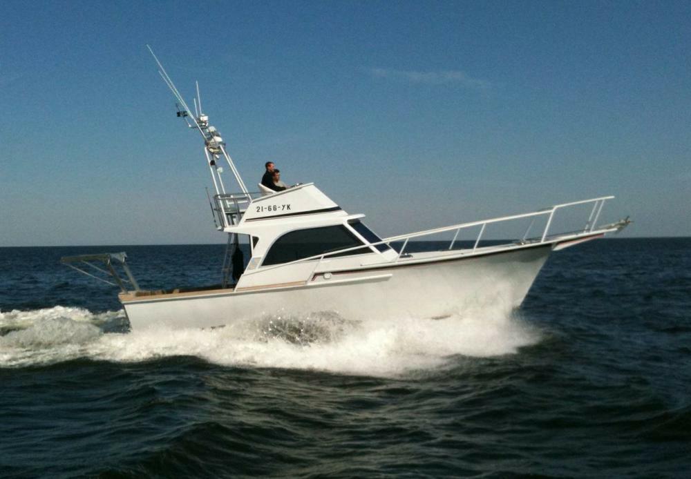 Striker Sport Fisher — foto 1 van 25