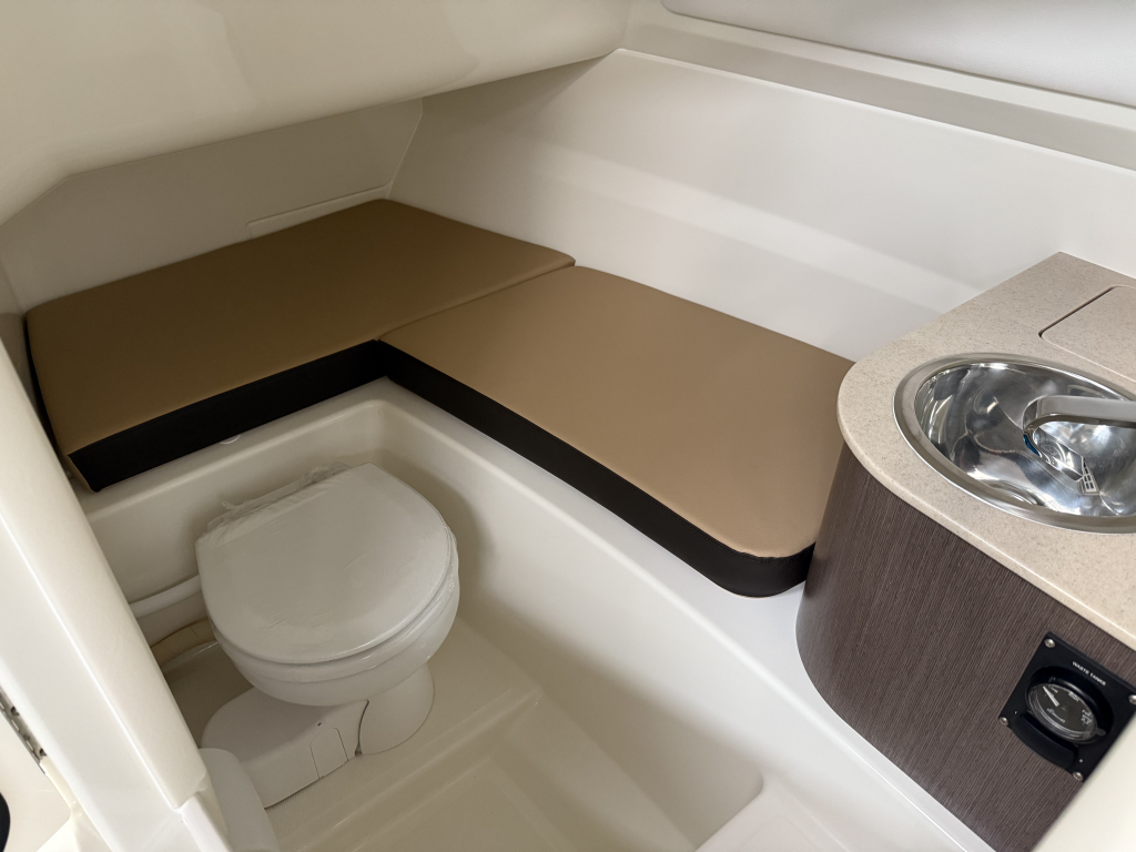 Sea Ray SDX 250 Outboard — foto 27 van 31