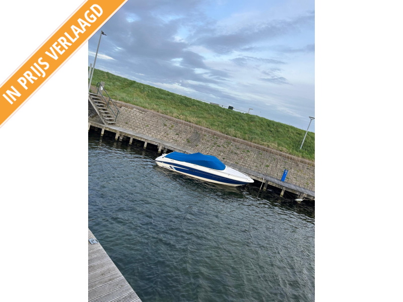 Sea Ray 185 — foto 5 van 12