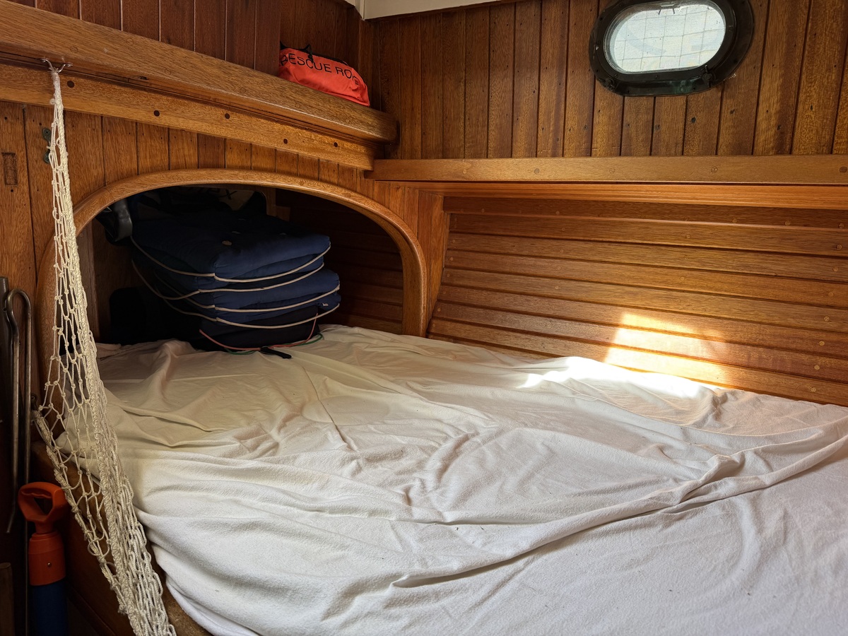 ORCA 38 — foto 14 van 74
