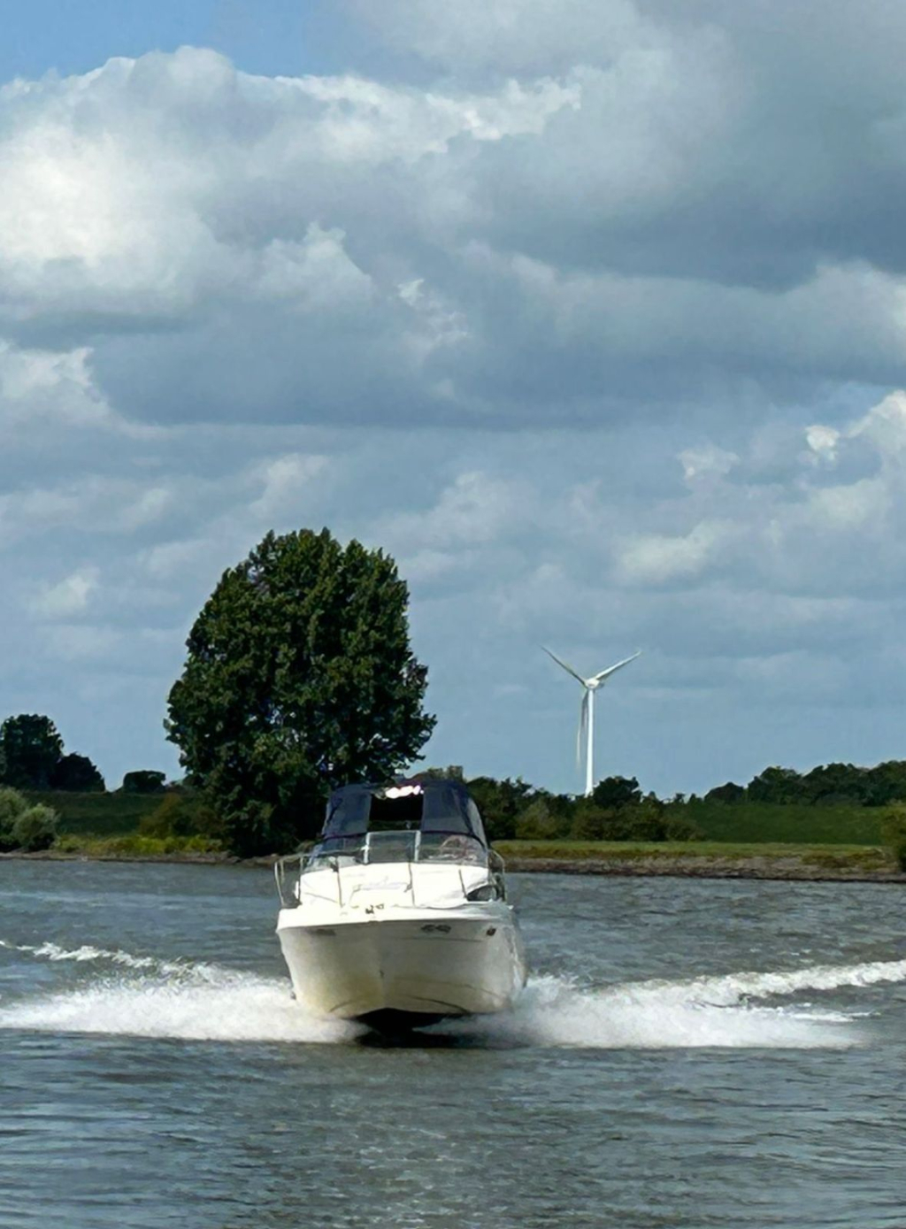 Bayliner 2355 — foto 9 van 20