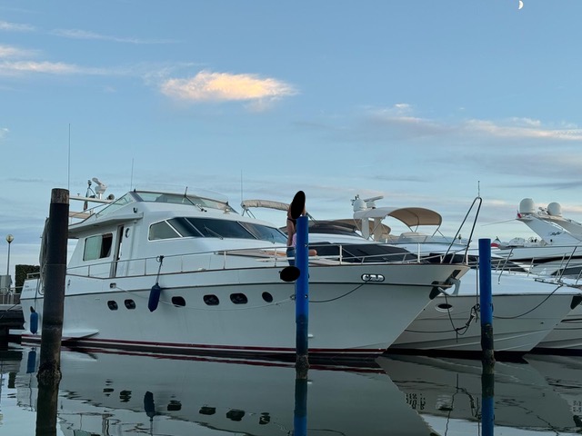 Alfamarine 16,50 - BluYachting — foto 1 van 12