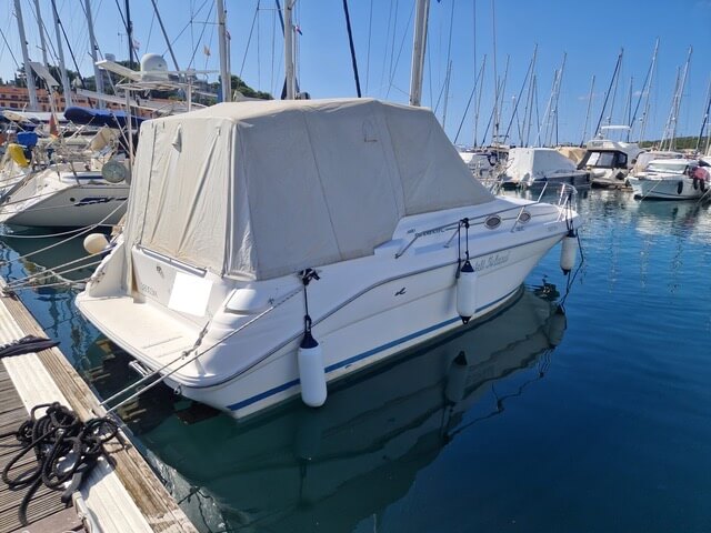 Sea Ray 290 Sundancer - BluYachting — foto 1 van 12