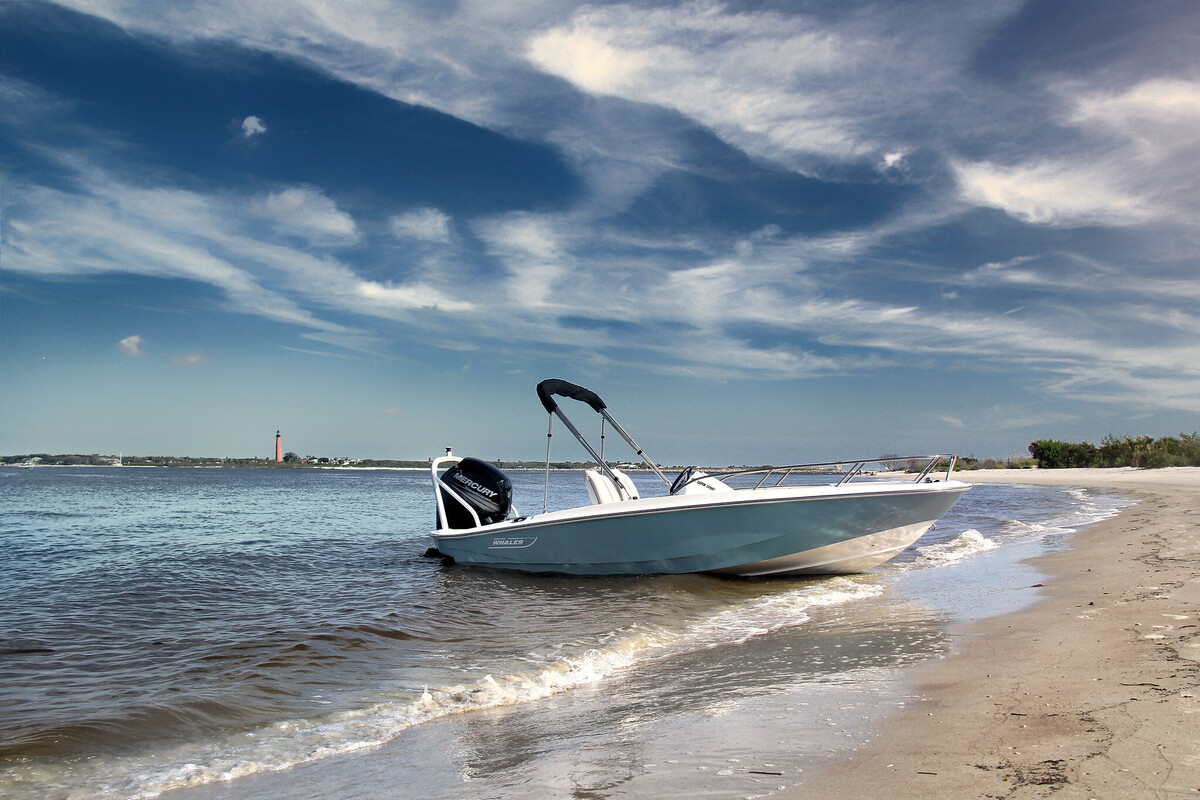 Boston Whaler 160 Super Sport — foto 19 van 19