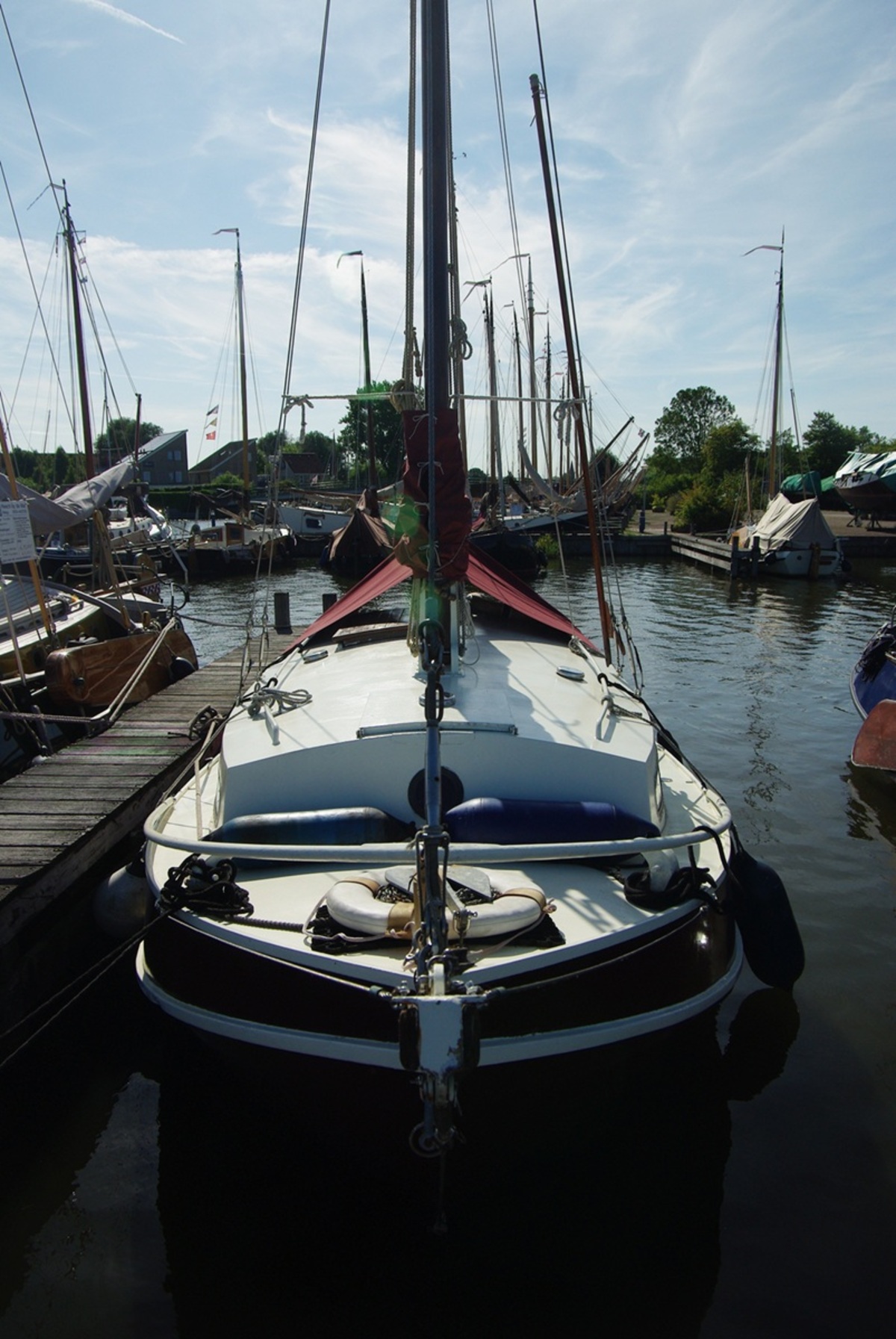 Baarda Grundel — foto 6 van 9