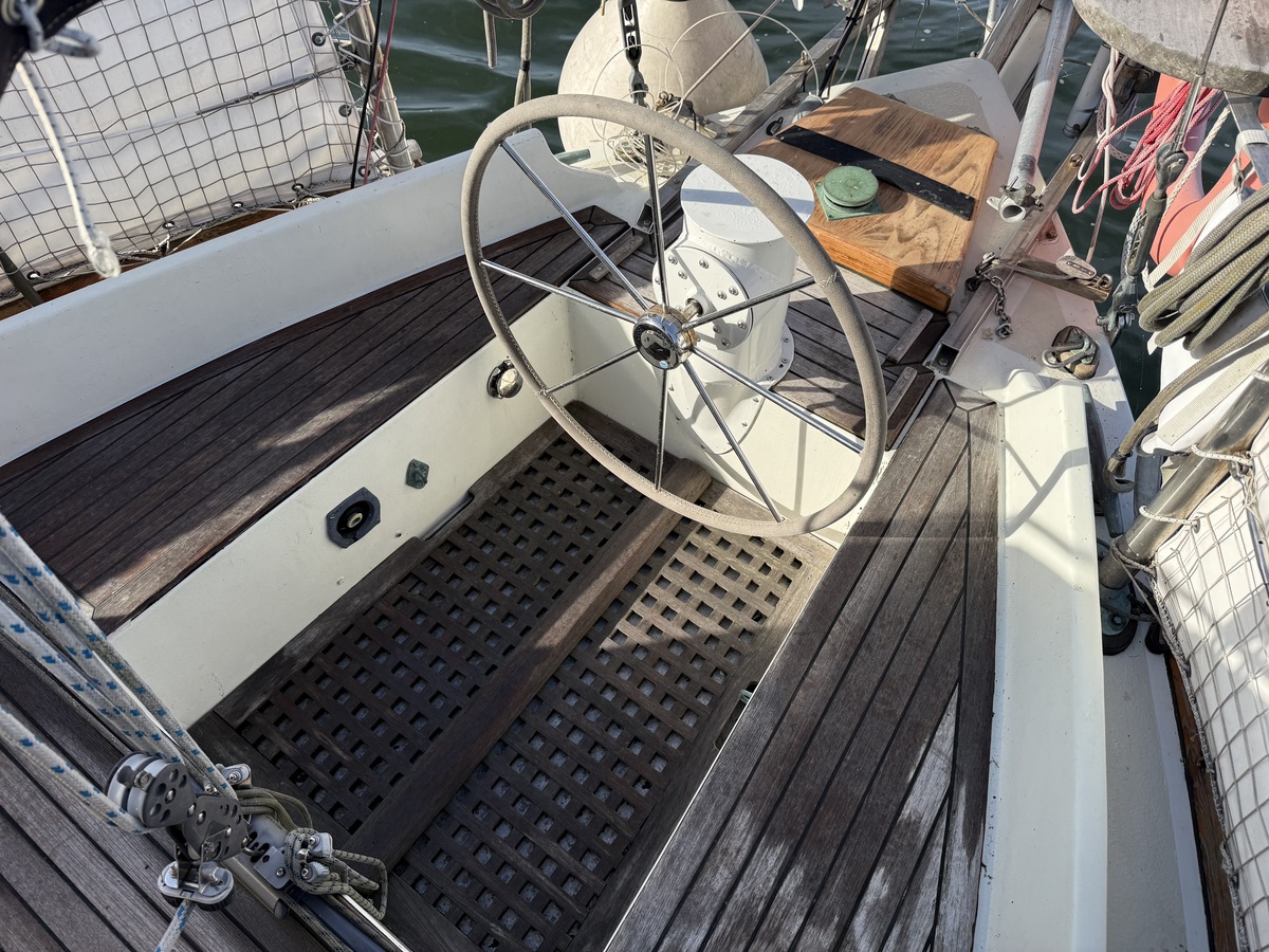 ORCA 38 — foto 49 van 74