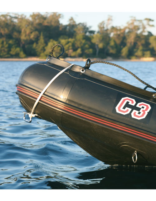 COMMANDO C3 — foto 1 van 1