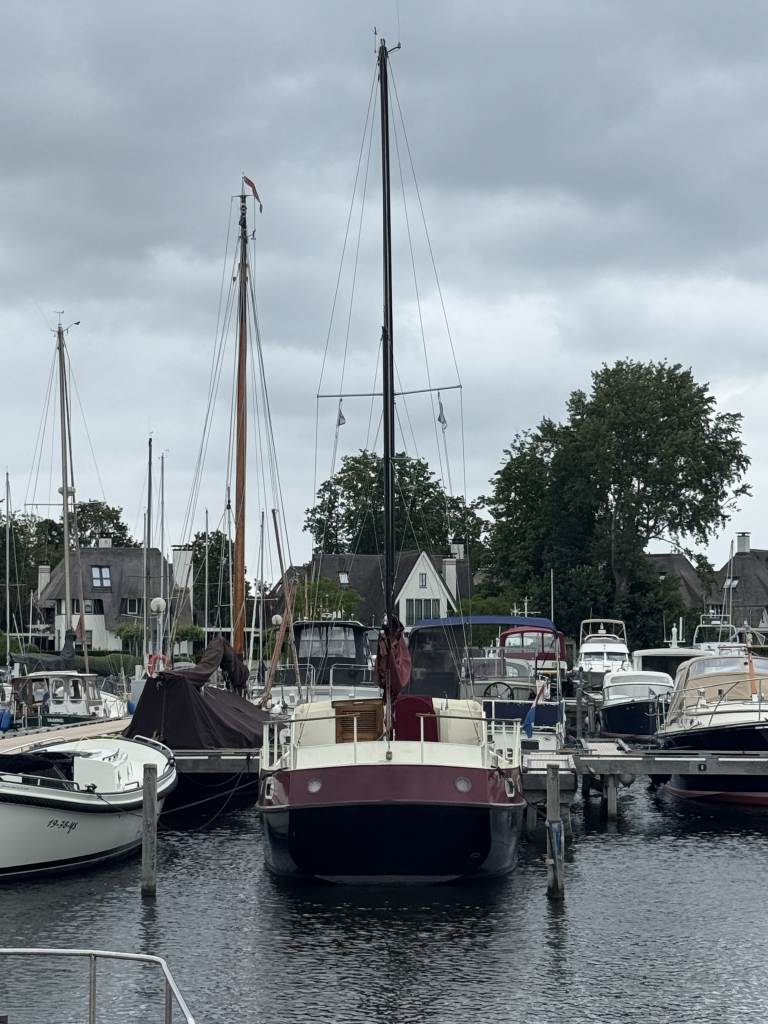 De Wit Kotter 1000 — foto 32 van 34