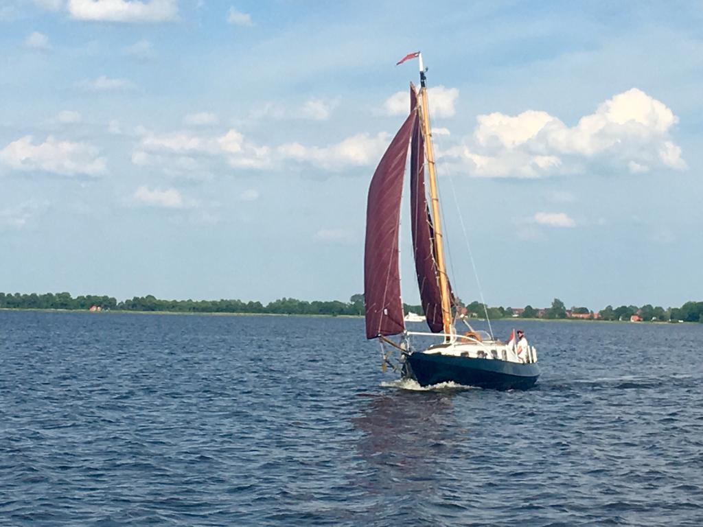 Classic Dordste Hoogaars met midzaard — foto 3 van 12