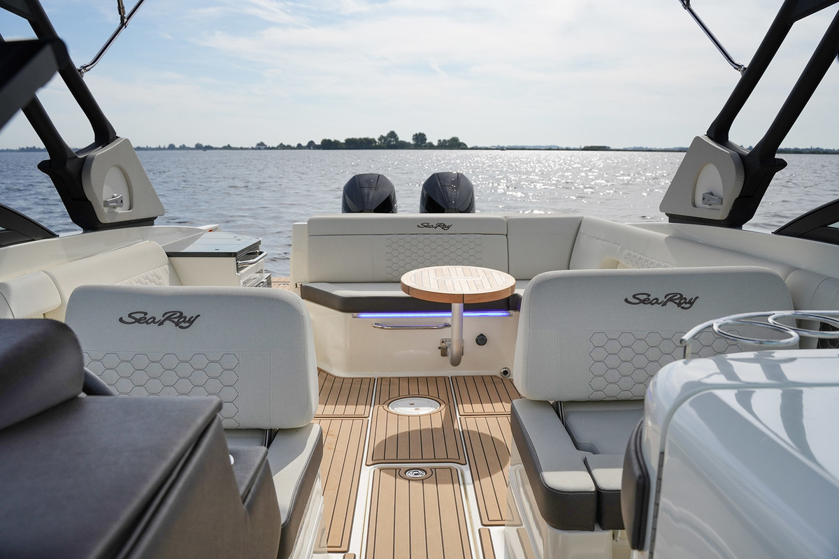 Sea Ray SDX 290 Outboard — foto 45 van 51