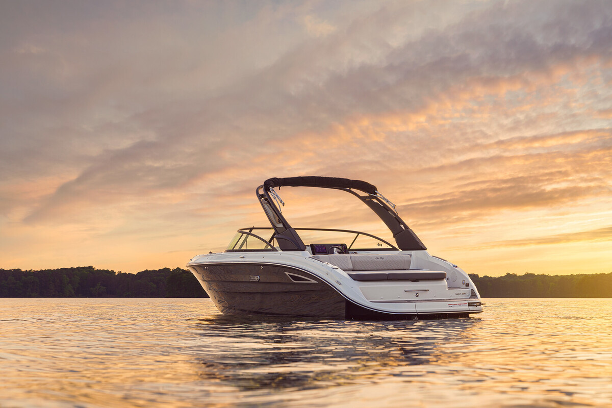 Sea Ray SDX 250 — foto 4 van 32