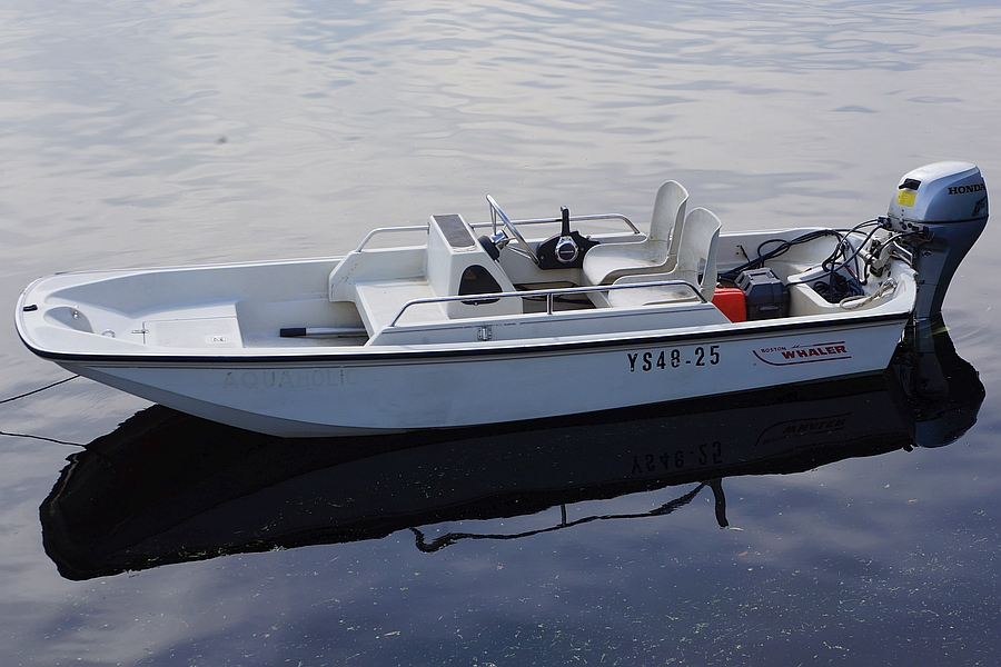 Boston Whaler 13 Sport — foto 4 van 6