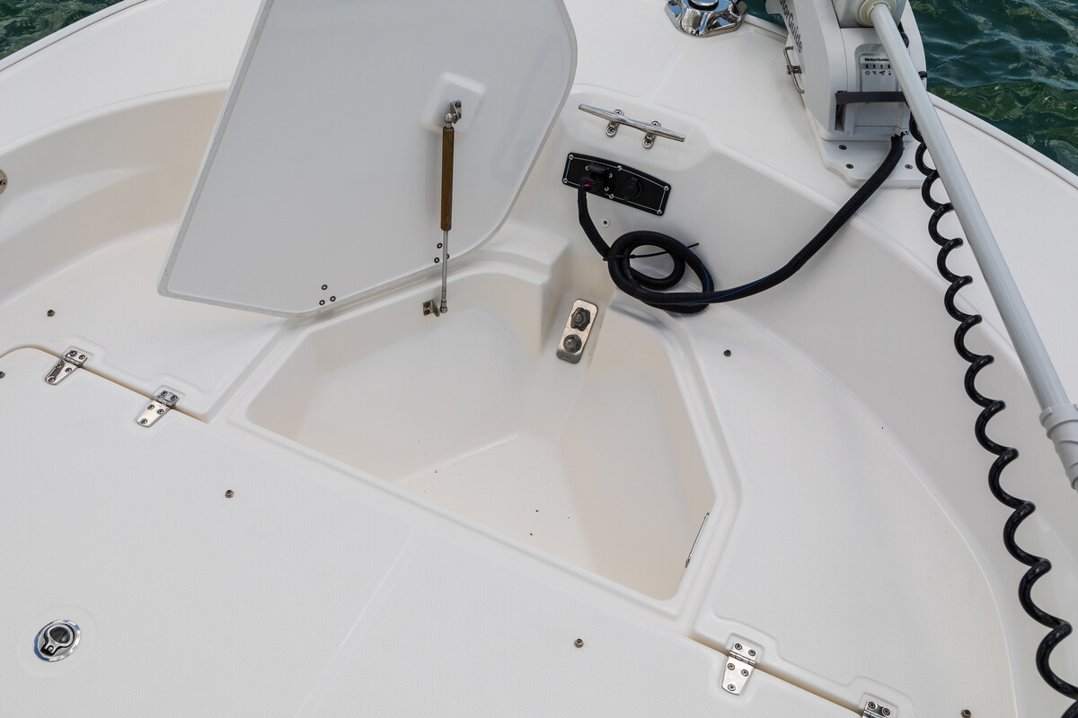 Boston Whaler 210 Montauk — foto 6 van 22