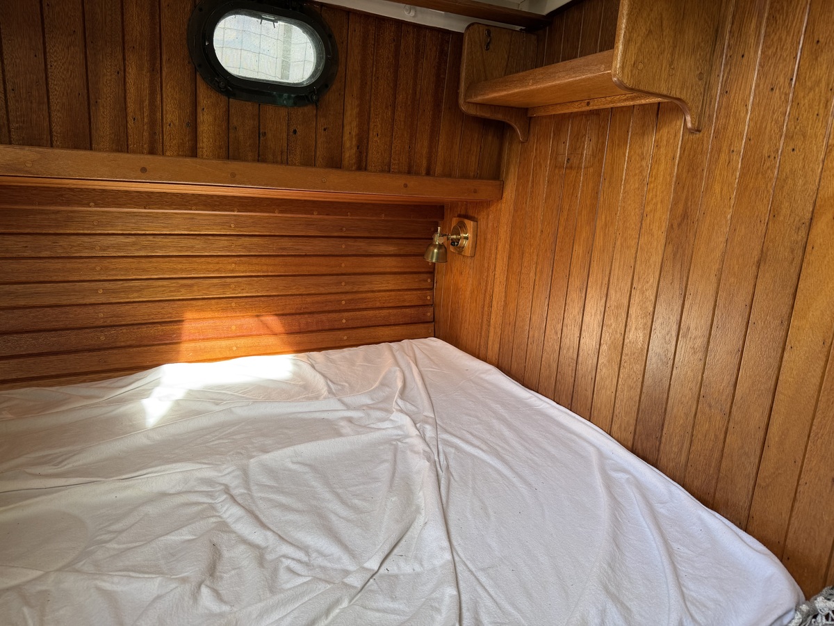 ORCA 38 — foto 13 van 74