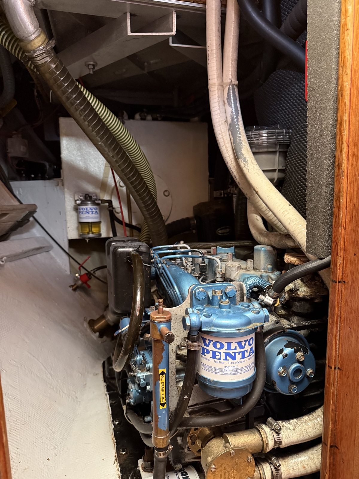 ORCA 38 — foto 42 van 74