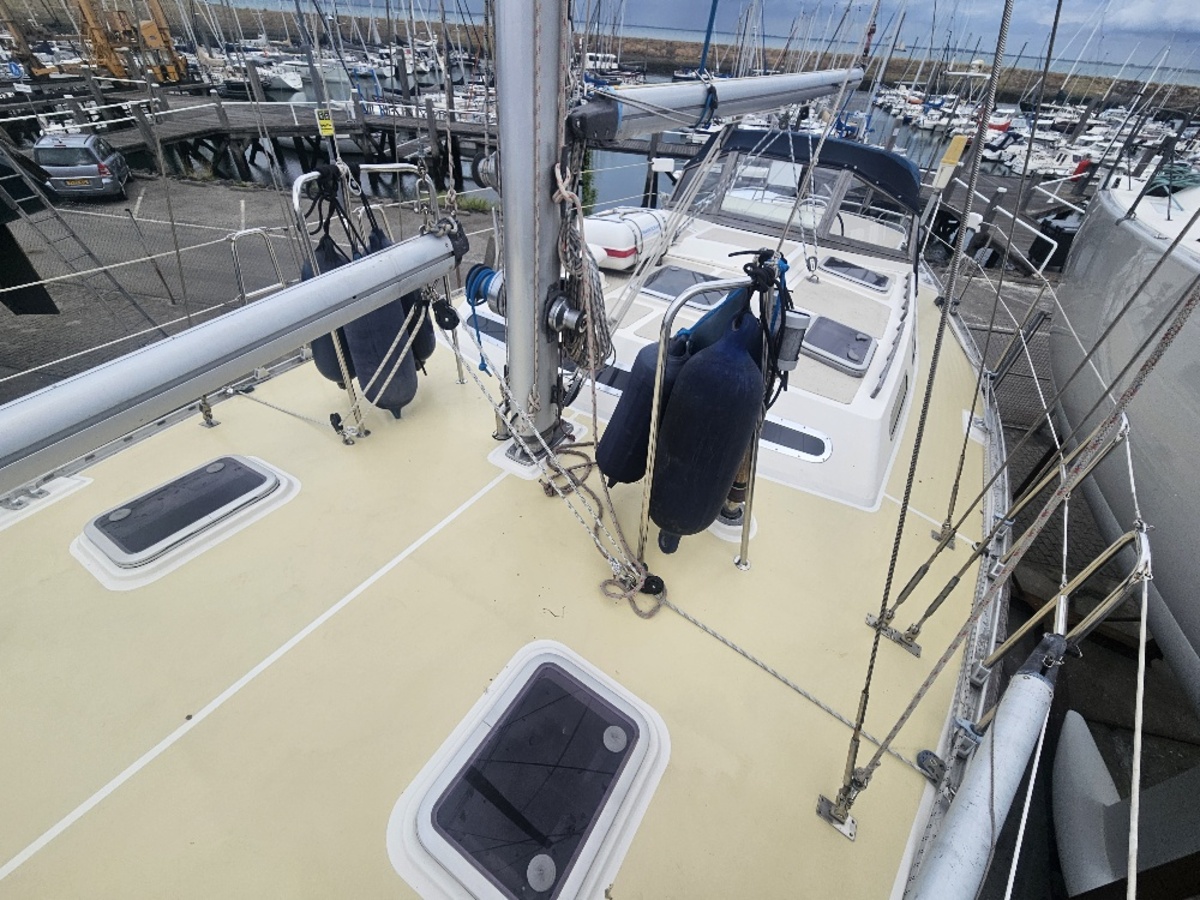 Trident Marine Warrior 38 — foto 26 van 30