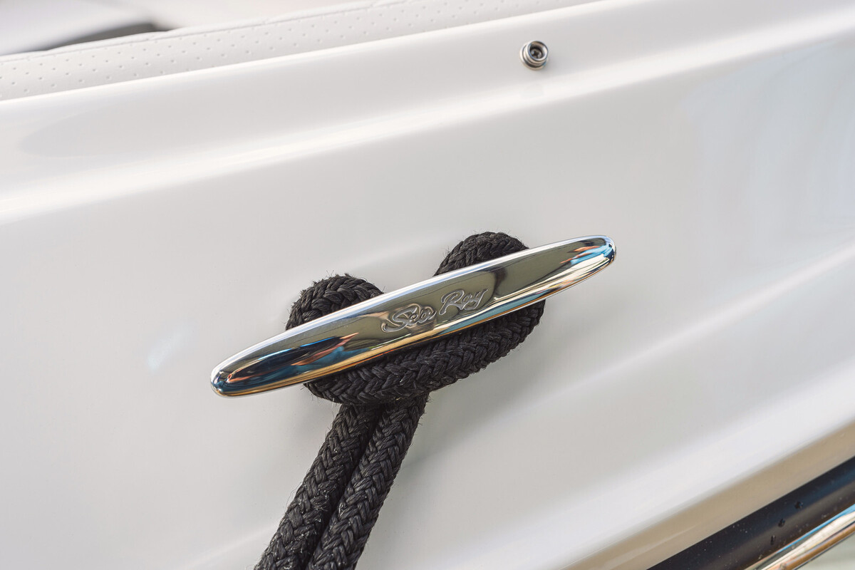 Sea Ray SDX 250 — foto 12 van 32