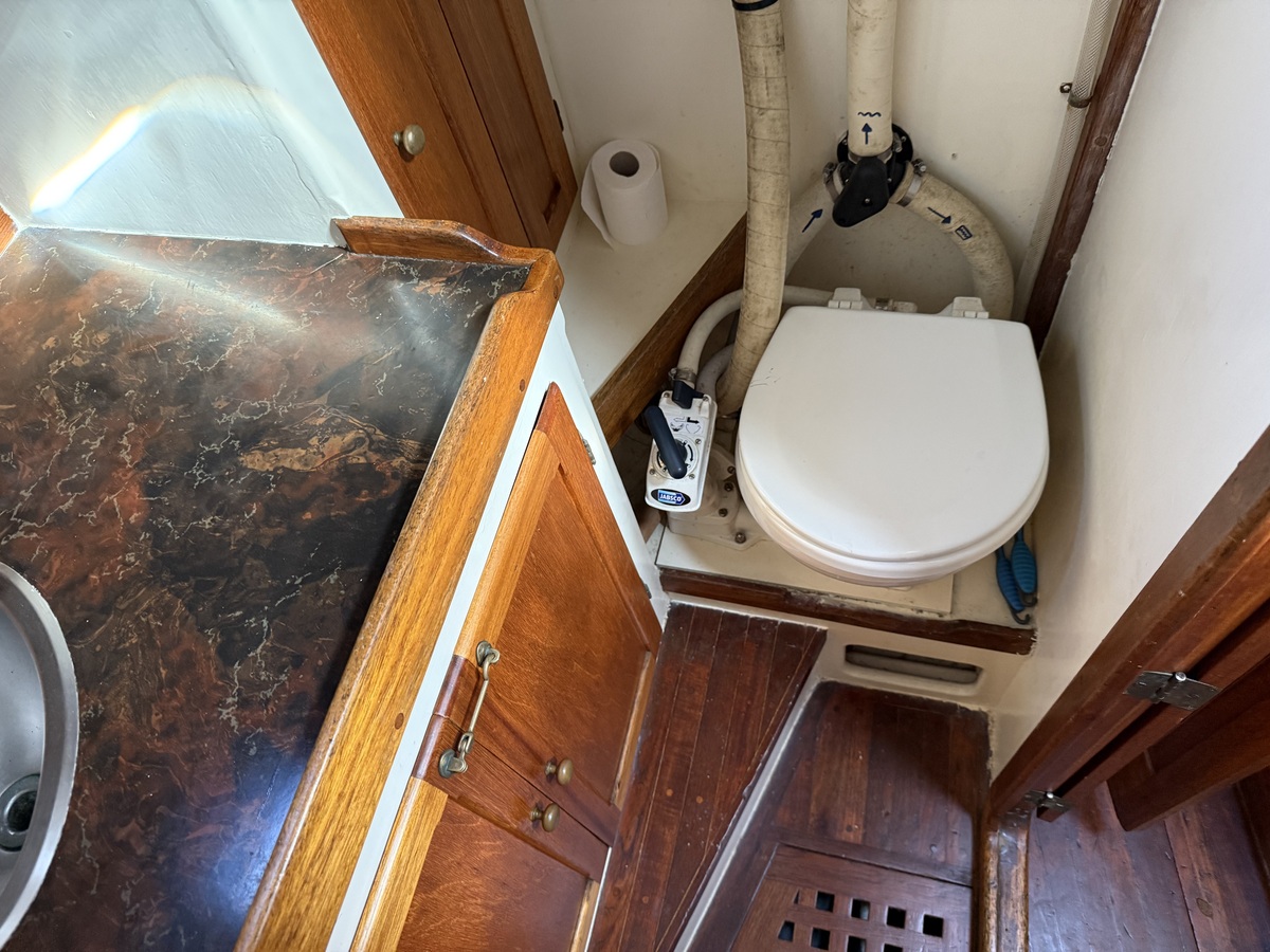 ORCA 38 — foto 24 van 74