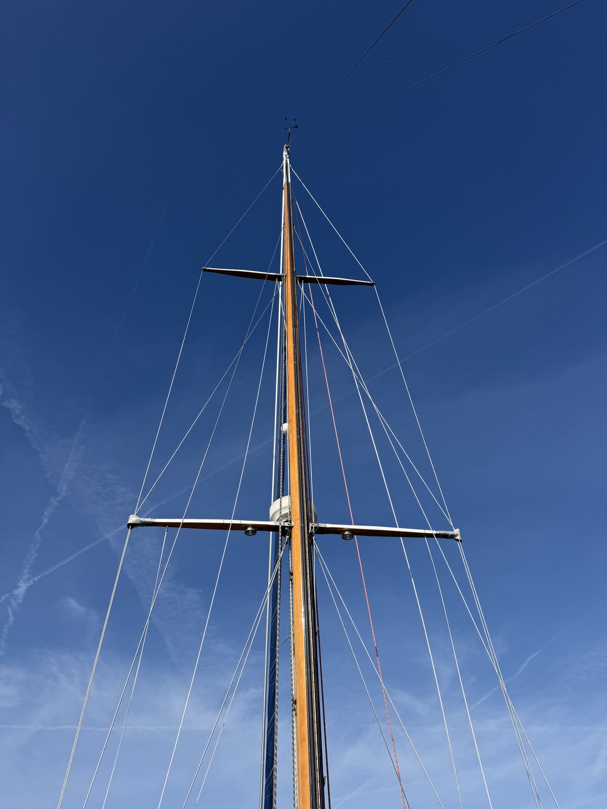 ORCA 38 — foto 70 van 74